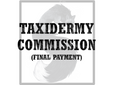 Soft Mount Commission Final Payment Brittany C.