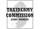 Soft Mount Commission Final Payment Brittany C.