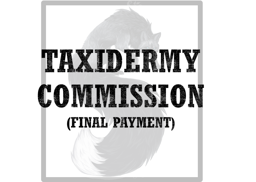 Soft Mount Commission Final Payment Brittany C.