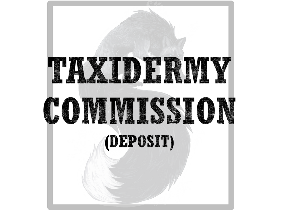 Soft Mount Commission Deposit for Elio L.
