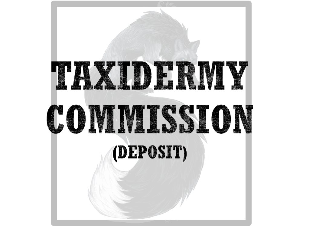 Soft Mount Commission Deposit for Brianna P.